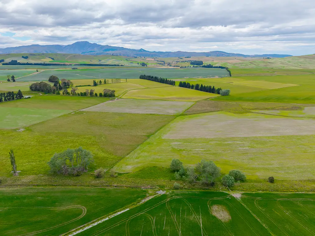 Fairlie Proven dairy support opportunity