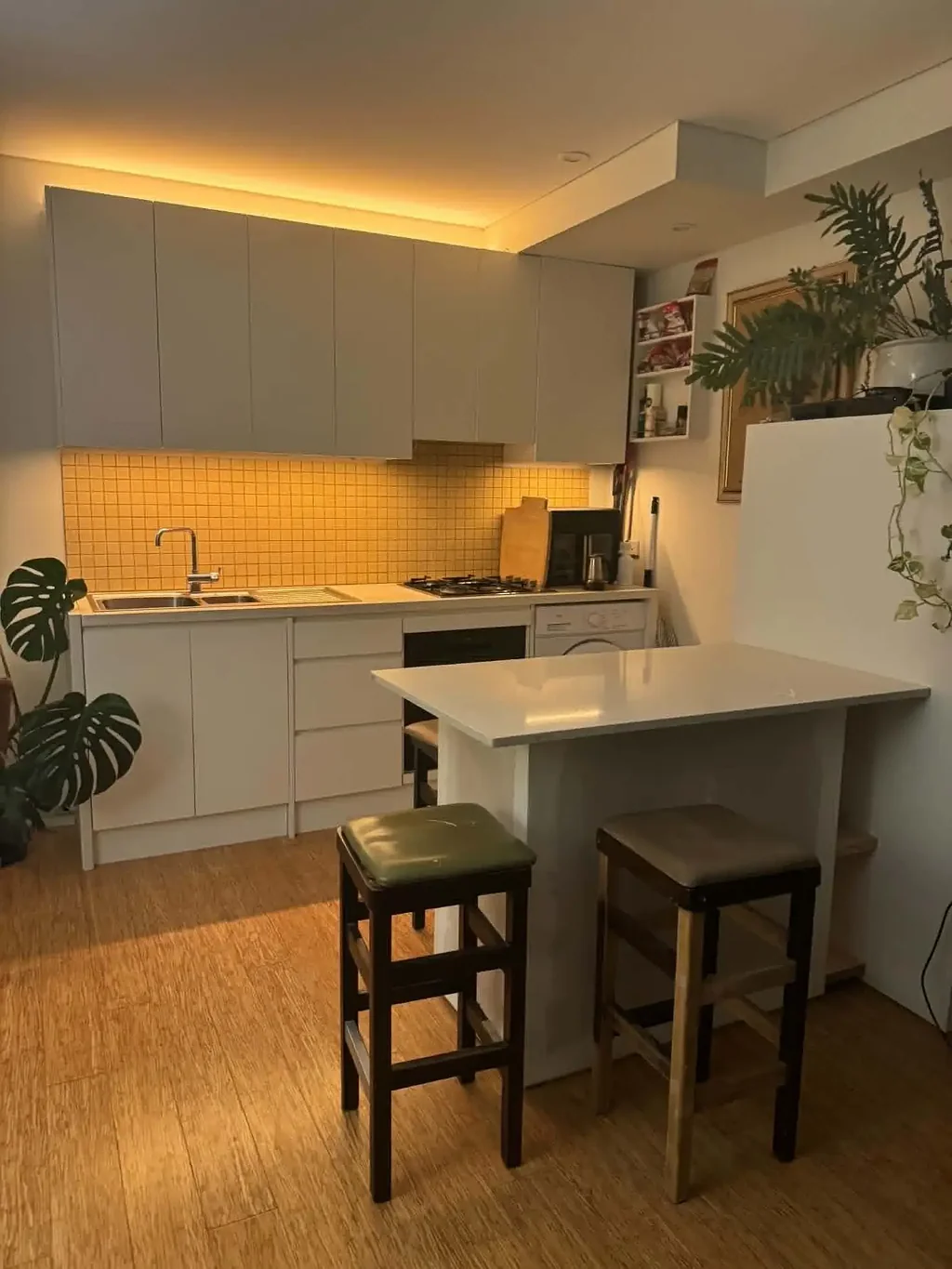 Large 1 Bedroom apartment