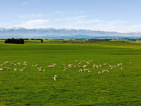 Ranfurly  Pendella - A Premier Opportunity