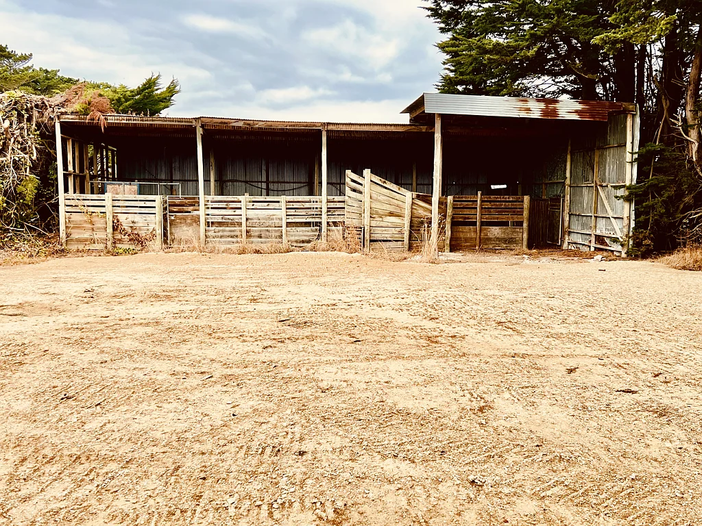Tisbury Lifestyle and big shed!