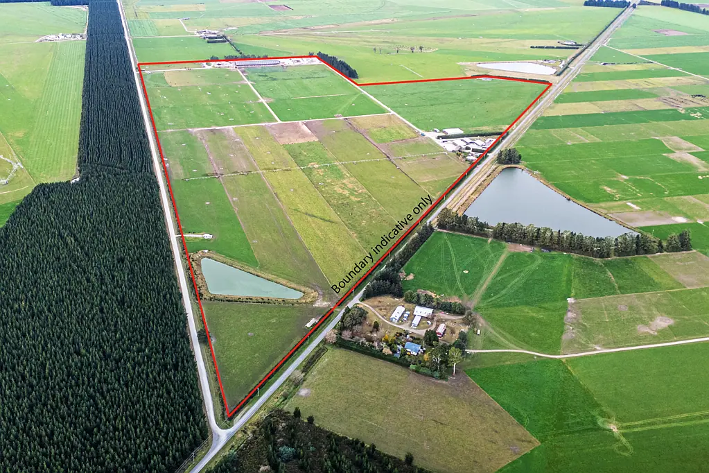Mayfield Specialist dairy farm - 102 ha