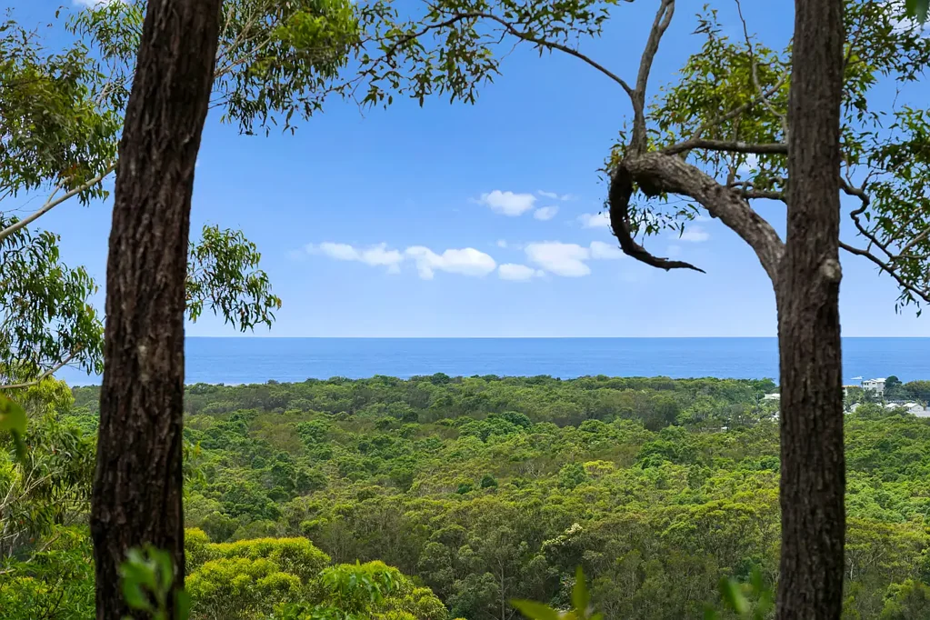 144 Round Mountain Road, Round Mountain, NSW 2484