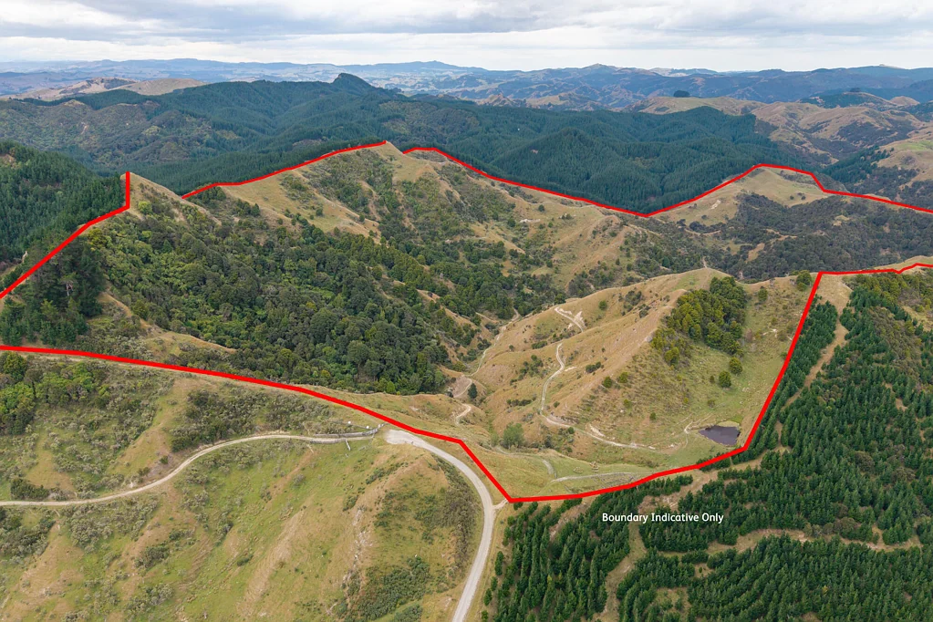 Pongaroa  Adventures Paradise - 124 ha*sts