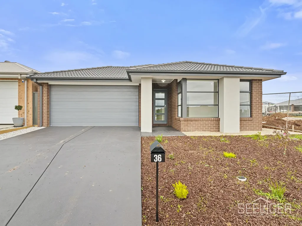 Modern Family Living with Style, Space & Comfort