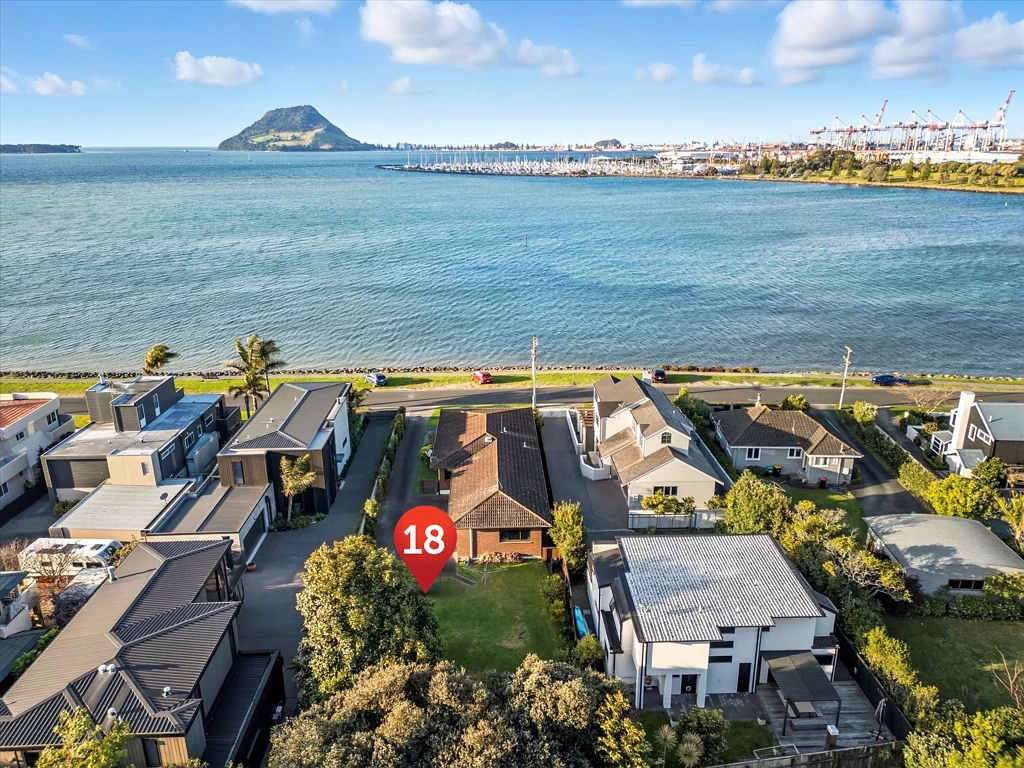 Otumoetai 3房  Harbour Front Home and Section