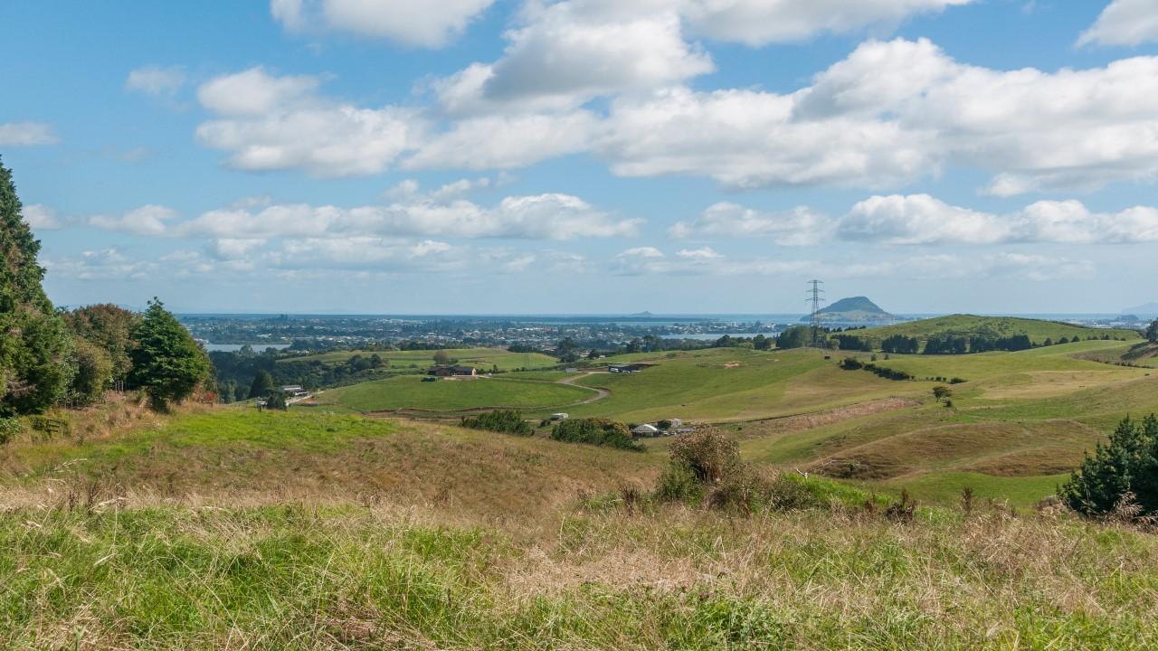 535 Ohauiti Road, Ohauiti, Tauranga, 4房, 2浴