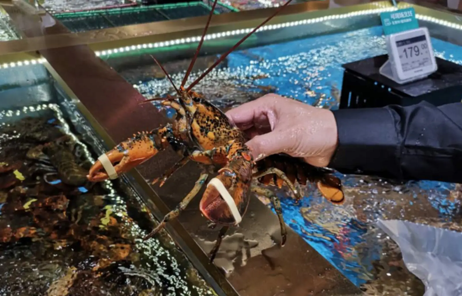 最前线丨京东7FRESH超市生变,不再局限自己开店