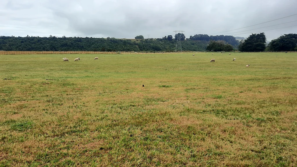 Lot 1, 243 Te Awa Road, Kiwitea, Manawatu, Manawatu-Wanganui