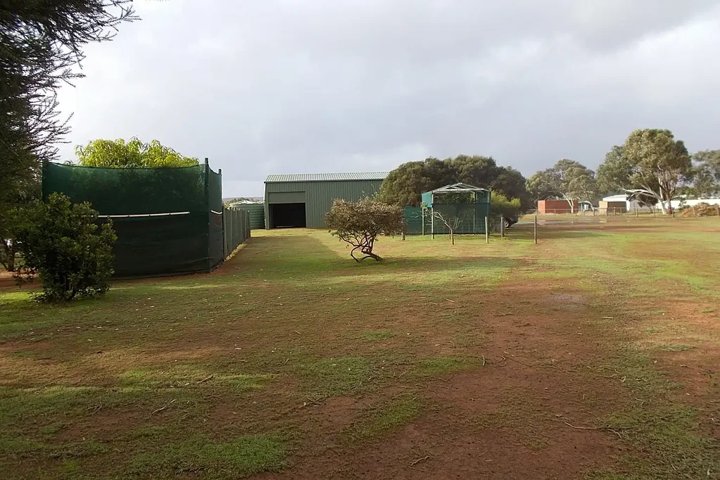 31 Border Drive, Deepdale, WA 6532