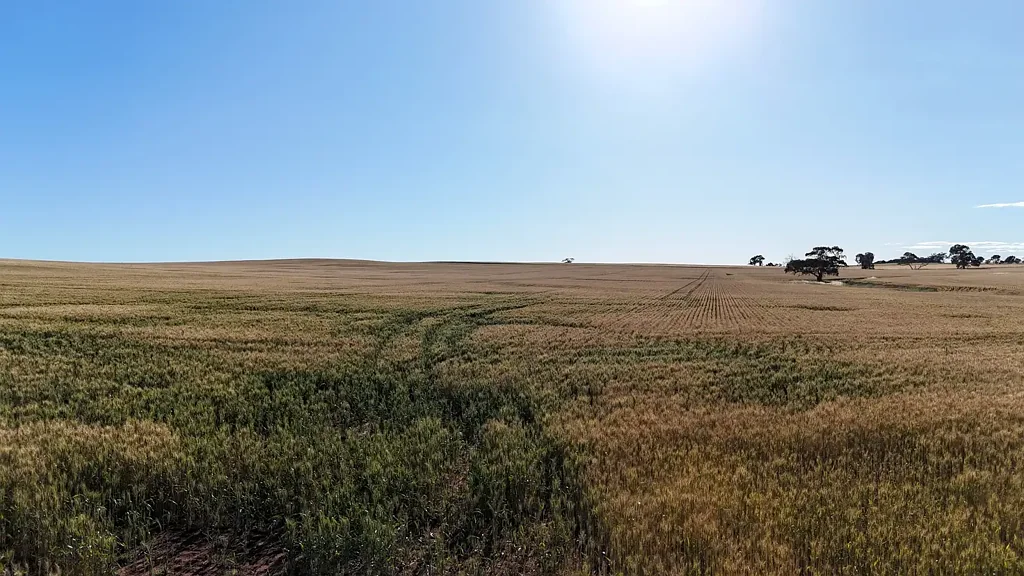 Stockport Ideally located cropping land