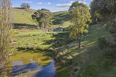 330 Royaltown Road, Maindample, VIC 3723, 0 Bedrooms, 0 Bathrooms, Section