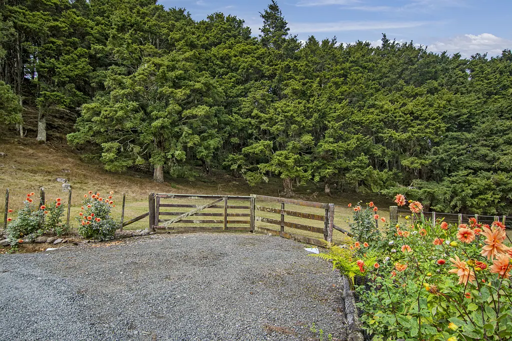 316A Crane Road, Kauri, Whangarei, Northland