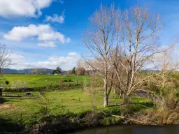 339a Te Poi South Road, Matamata