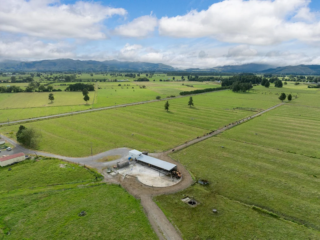 Paeroa 70-hectare dairy unit
