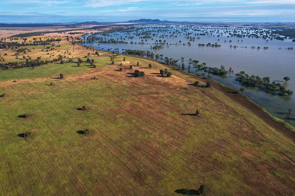 West Wyalong "Wamboyne Racecourse" 232.40 acres plus 117.18 Acres Crown Lease