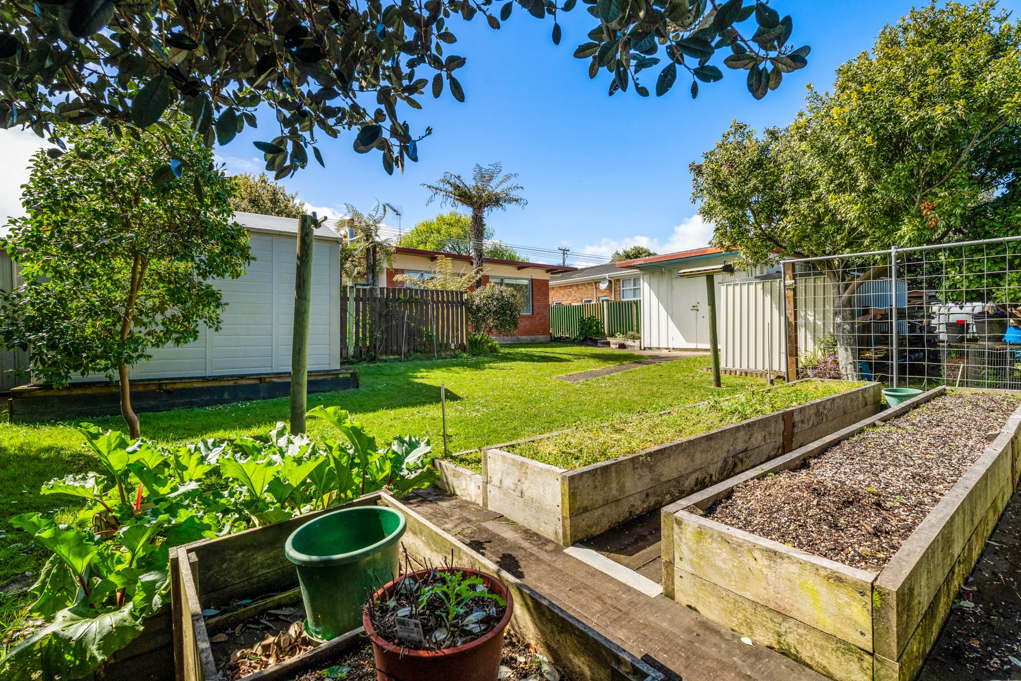 49 Lynmore Drive, Hillpark, photo 5