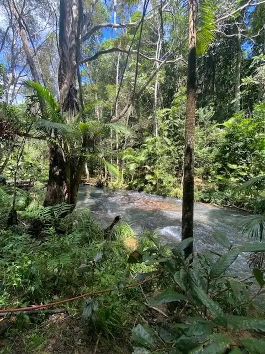 Speewah  Tropical lifestyle acreage property with creek, orchard & renovation potential