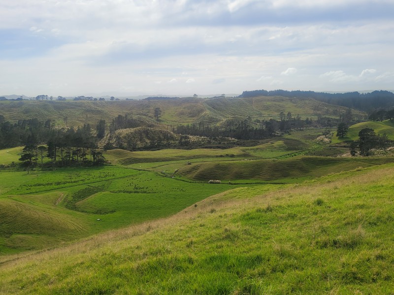 Pinaki Road, Te Kopuru, Kaipara, 0 rūma, 0 rūma horoi