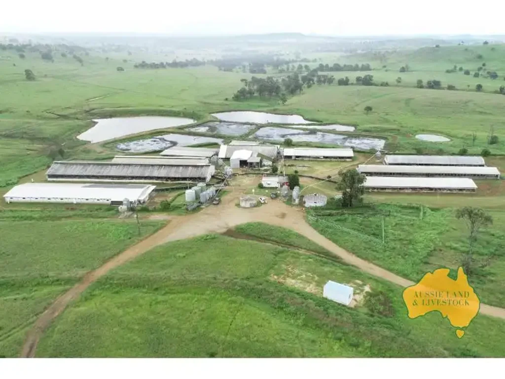 Gayndah  Piggery Enterprise Property designed for efficiency & productivity!