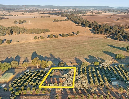 Lot 7 Sargeant Street Thoona via, Benalla, Wangaratta, 0部屋, 0バスルーム, Section
