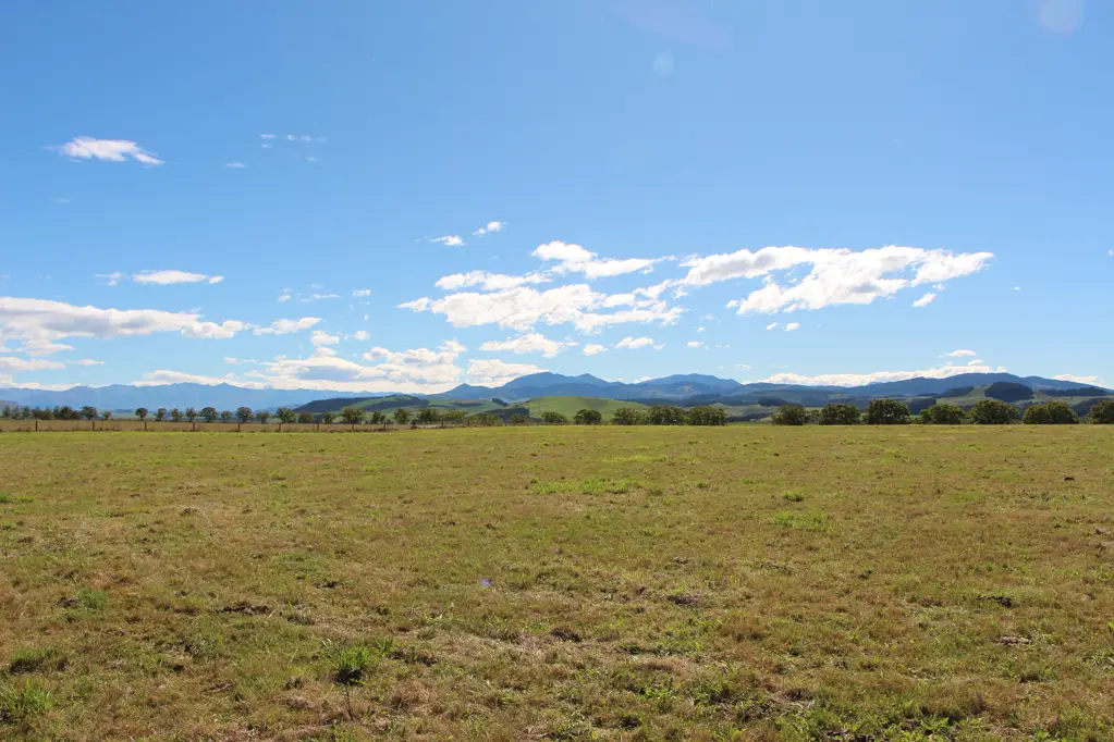 Pleasant Point Productive Property With Aesthetic Appeal - 42ha
