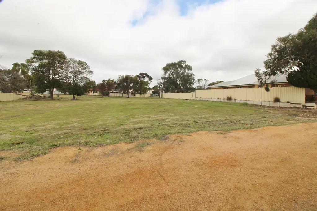 Wagin Country Charm and Big Potential in the Heart of Wagin