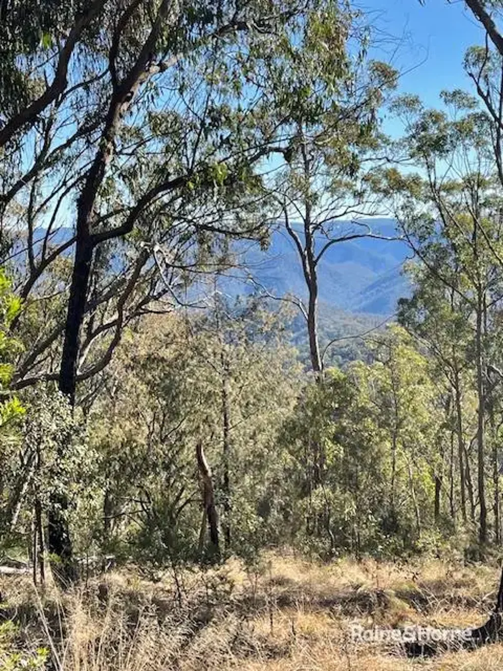 LOT 6/837 Kookabookra Road, Guyra, NSW 2365