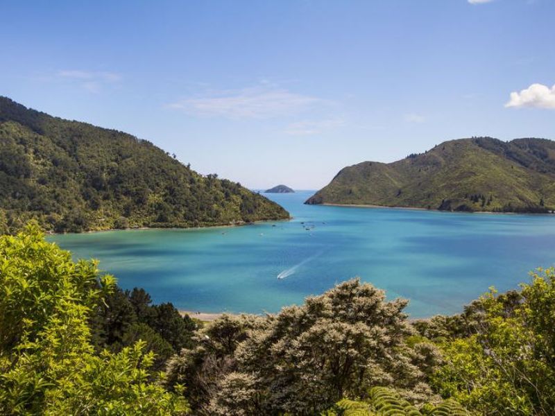 Oanaga Bay, Todds Valley, Nelson, 0 phòng ngủ, 0 phòng tắm