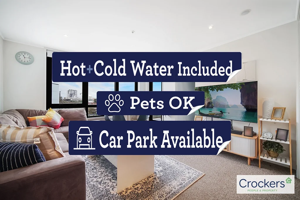 Large furnished one bedroom at Centro - Pet friendly