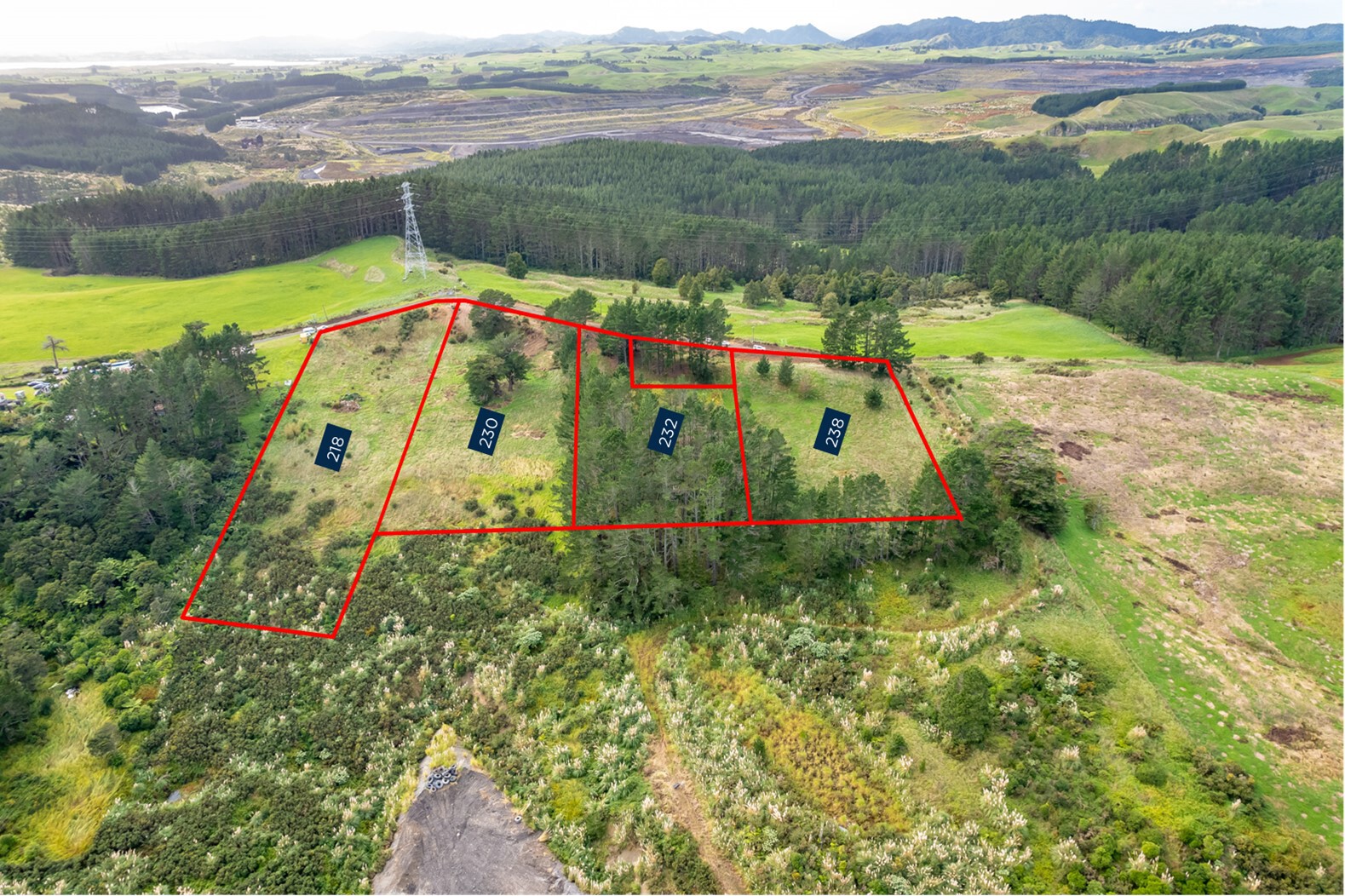 238 Hangapipi Road, Huntly, Waikato, 0 habitaciones, 0 baños, Lifestyle Section