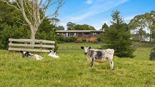 37 Lloyd Road, Riverhead, Rodney District