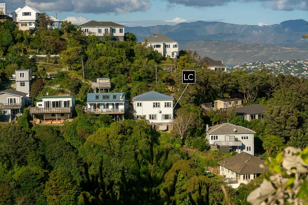 Hataitai 5房  VERSATILE CITY-FRINGE INVESTMENT