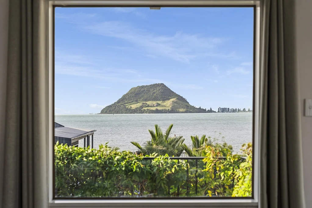 Otumoetai 4房  Harbour Views Take Centre Stage