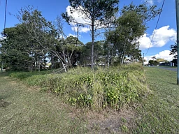 23 Lemontree Drive, Macleay Island