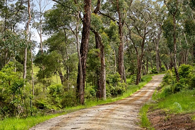 2 Barkers Road, Flinders, VIC 3929, 0房, 0浴, Section