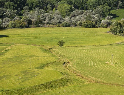 Mahaki Settlement Road, Te Karaka, Gisborne, 0 ਕਮਰੇ, 0 ਬਾਥਰੂਮ, Bare Land