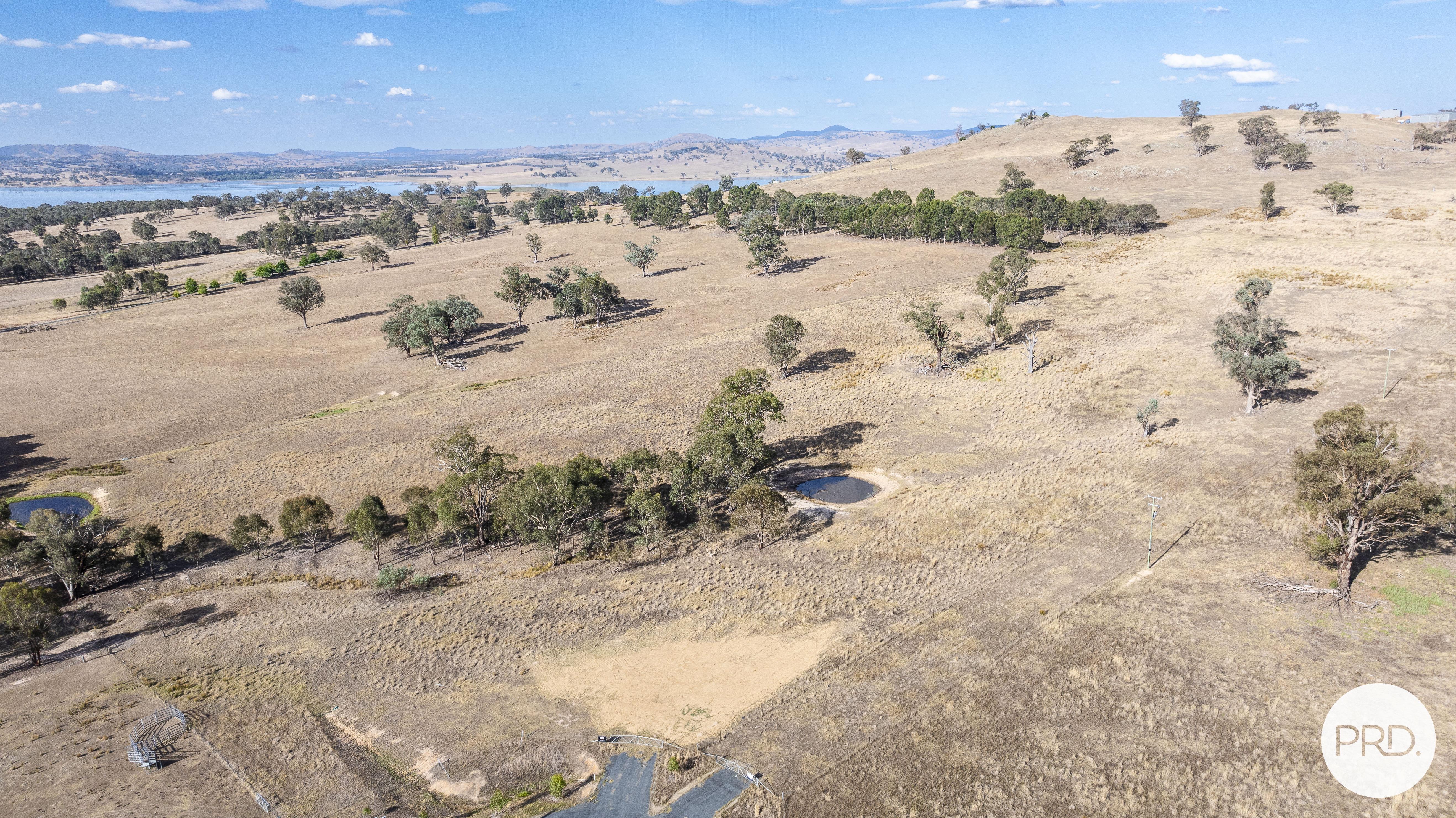 68 ROCKY HILL RTT, WIRLINGA NSW 2640, 0 phòng ngủ, 0 phòng tắm, Section