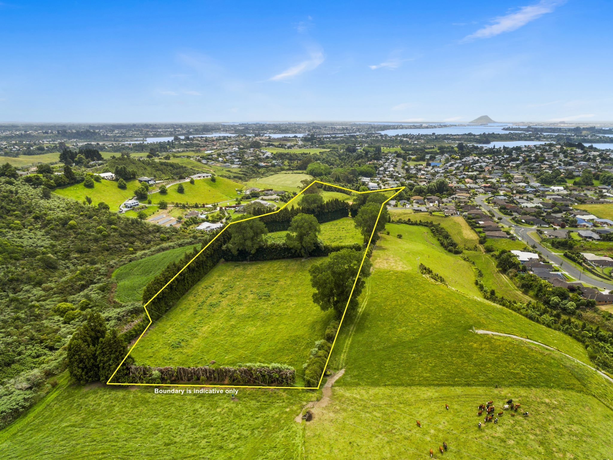 24 Eagle Street, Welcome Bay, Tauranga, 0 Kuwarto, 1 Banyo, Lifestyle Section