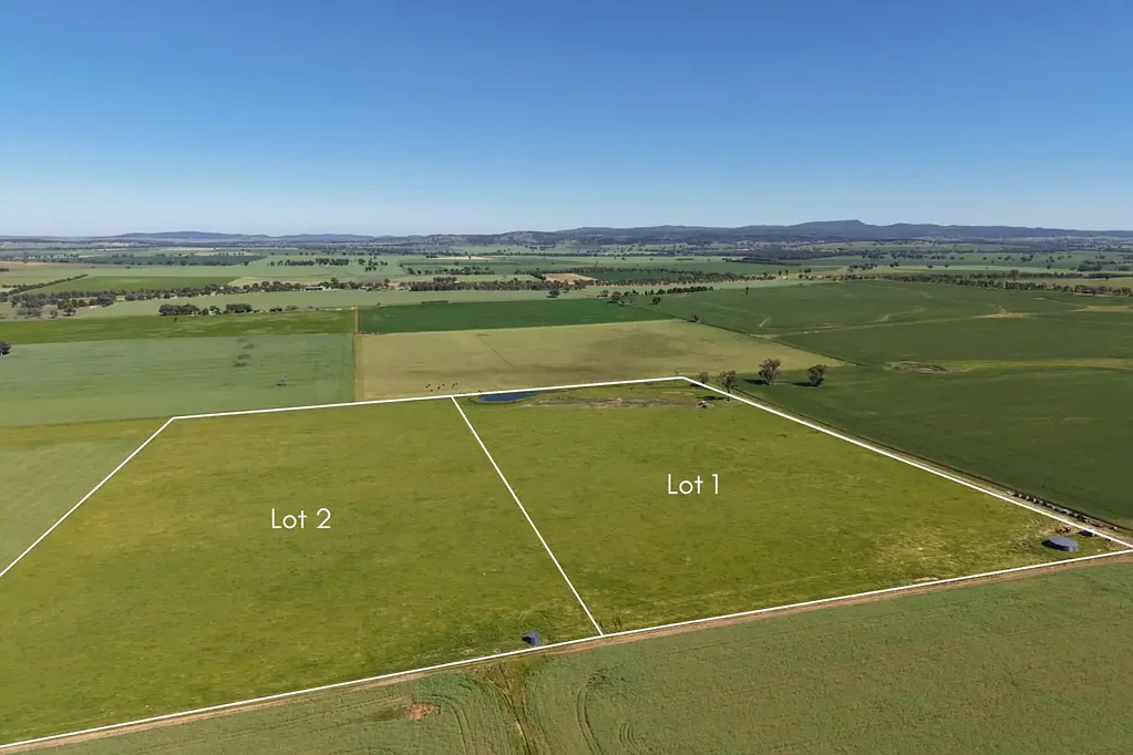 Canowindra LOCATION, SIZE & OPPORTUNITY - 2 X 8.1 Hectare allotments ( 20 acres each )