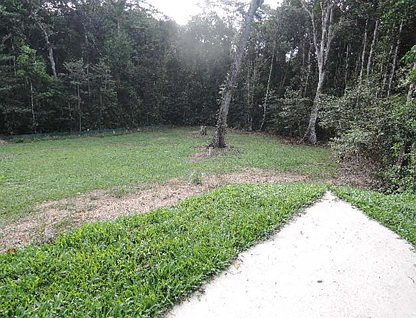 23 Loop Road, Paluma, QLD 4816, 0 ਕਮਰੇ, 0 ਬਾਥਰੂਮ, Section