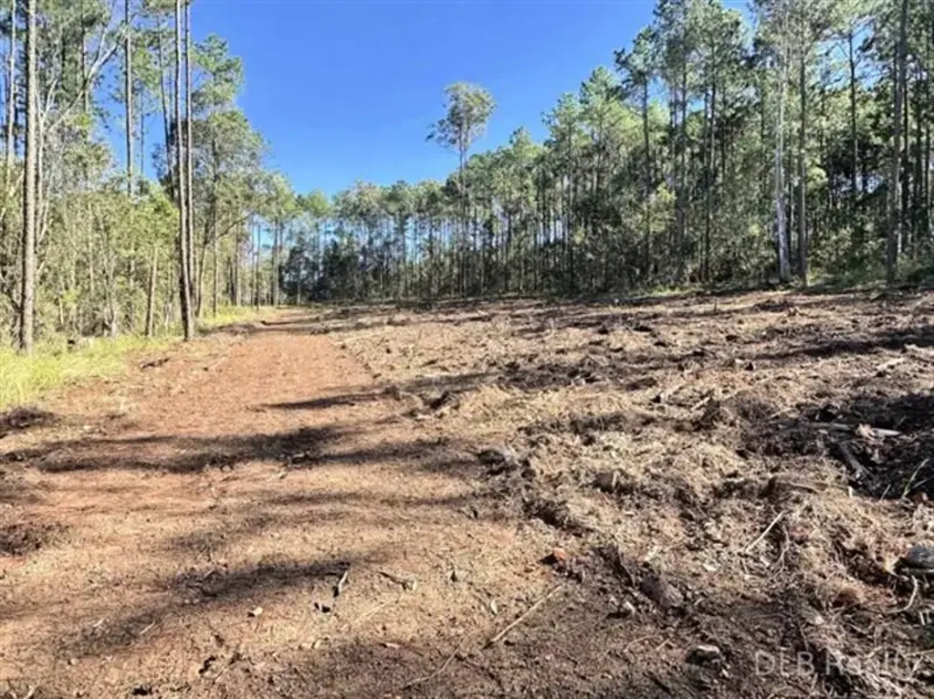 Glenwood 2.71 Acres of Possibility