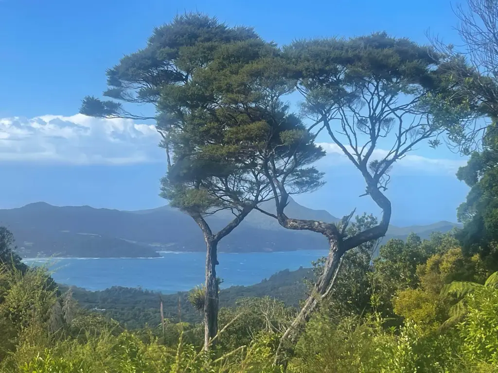 Great Barrier Island 2બેડરૂમ Sustainability Island Living at its Best & Views!