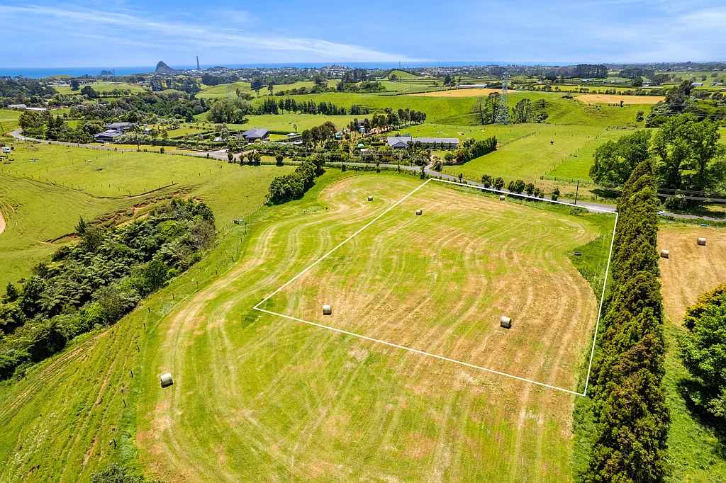 Omata One Acre Lifestyle Opportunity