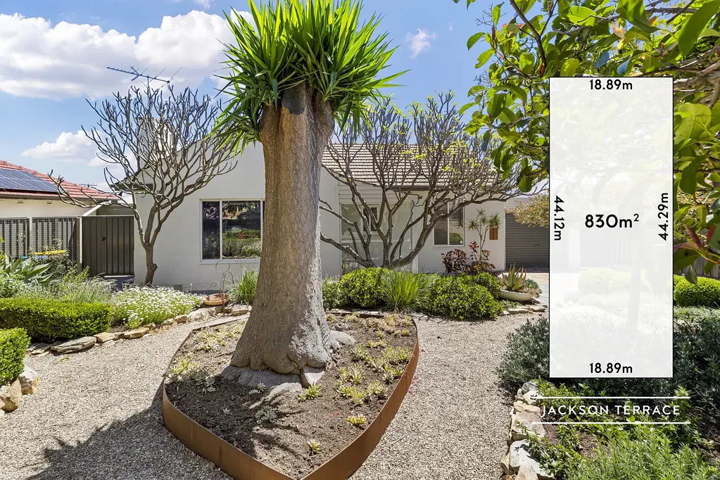3 Jackson Terrace, Enfield, SA 5085