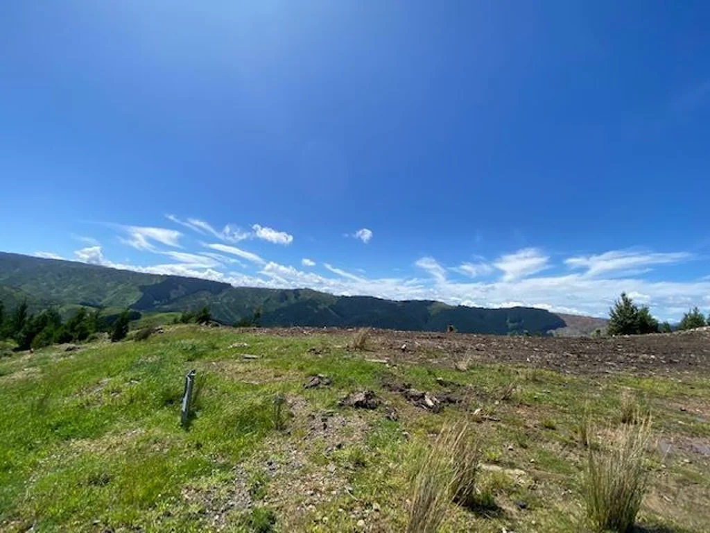 Pauatahanui Easterly aspect, elevated, good sun and shelter.