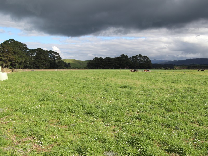 579 Kopikopiko Road, Eketahuna, Tararua, 0房, 0浴