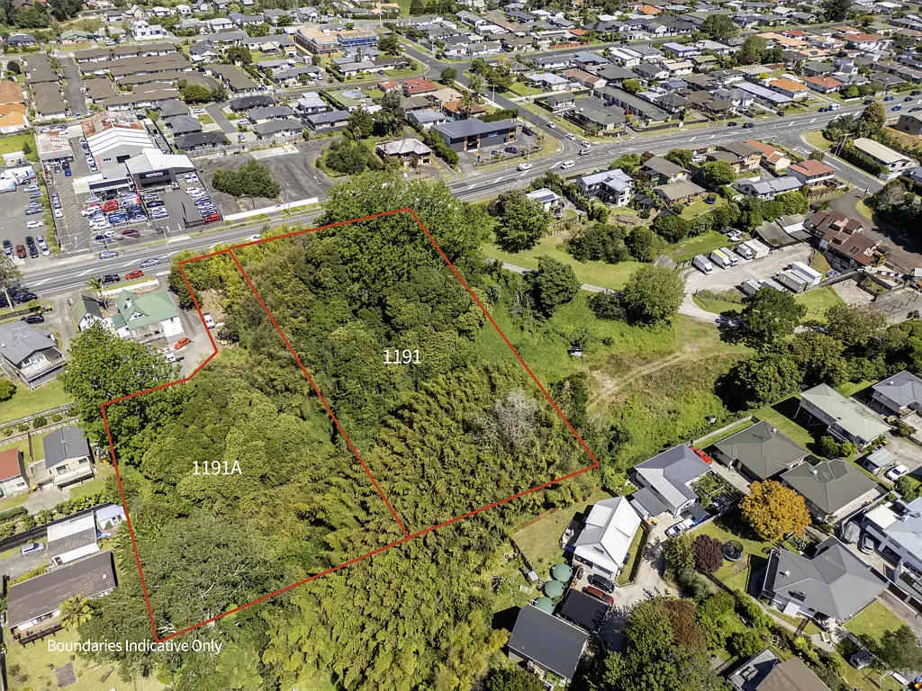 1191-1191A Cameron Road, Gate Pa, Tauranga, Bay of Plenty