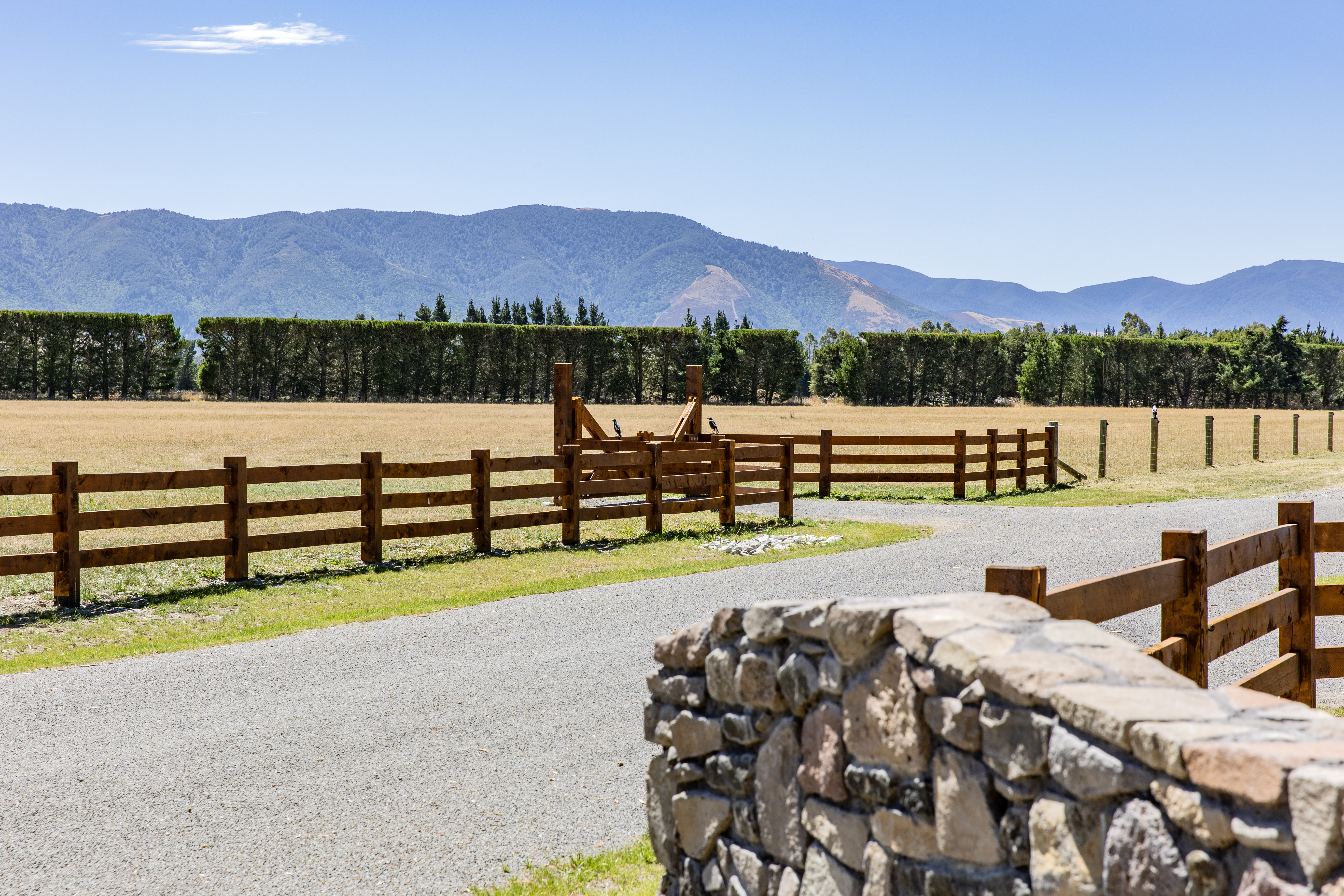 8 Powells Road, Oxford, Waimakariri, 0 Bedrooms, 0 Bathrooms, Lifestyle Section