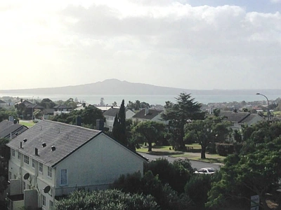 Residential  Terrace Housing and Apartment Building Zone