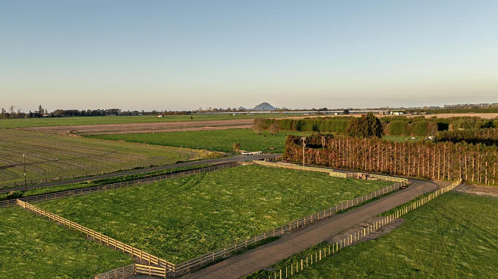Edgecumbe  Your blank canvas in the heart of the plains